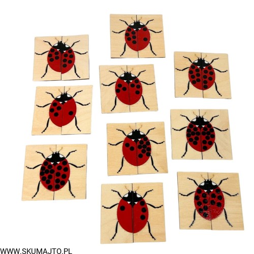 Projekt bez tytułu - 2023-03-20T113359.094.jpg