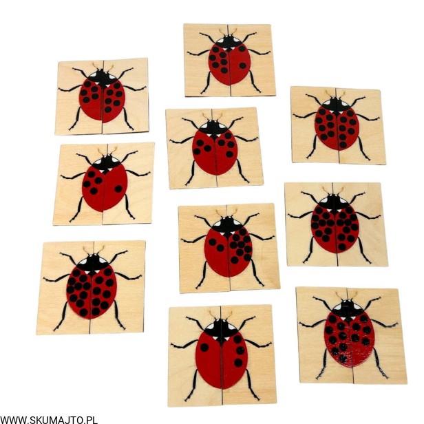 Projekt bez tytułu - 2023-03-20T113359.094.jpg