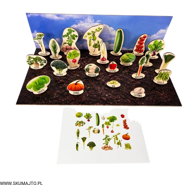 Projekt bez tytułu - 2023-05-02T120539.904.jpg