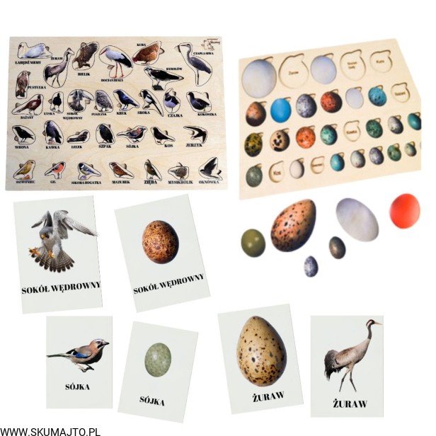 Projekt bez tytułu - 2023-05-07T175505.372.jpg