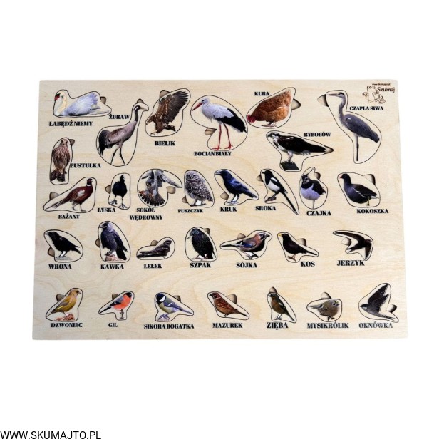 Projekt bez tytułu - 2023-05-07T175635.379.jpg