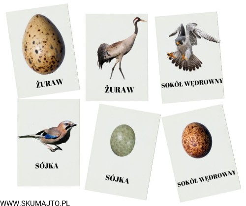 Projekt bez tytułu - 2023-05-07T175556.915.jpg