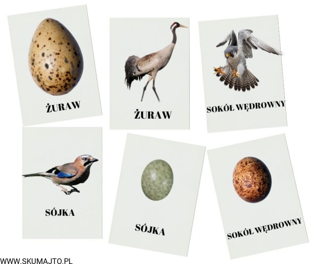 Projekt bez tytułu - 2023-05-07T175556.915.jpg