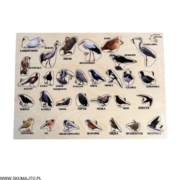 Projekt bez tytułu - 2023-05-07T175635.379.jpg