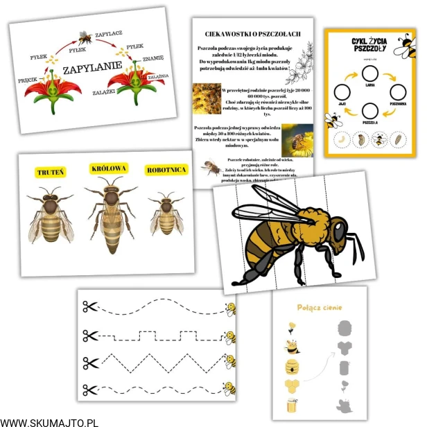 Projekt bez nazwy (56).jpg