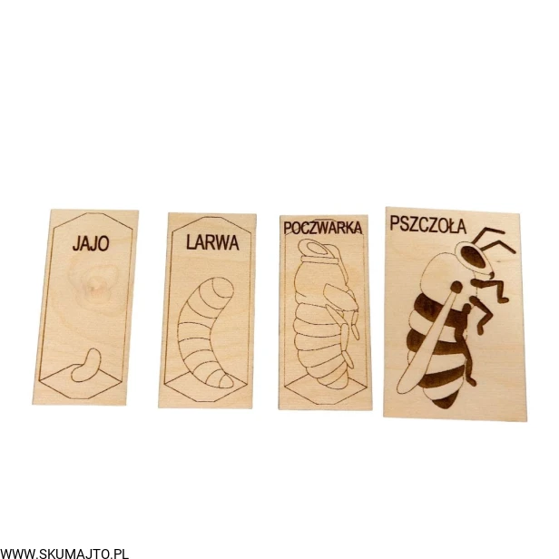 Projekt bez nazwy (51).jpg