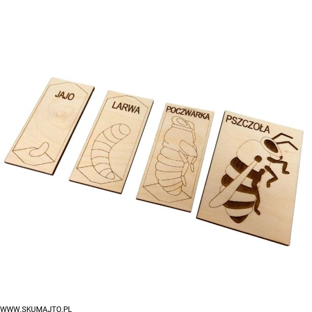 Projekt bez nazwy (49).jpg