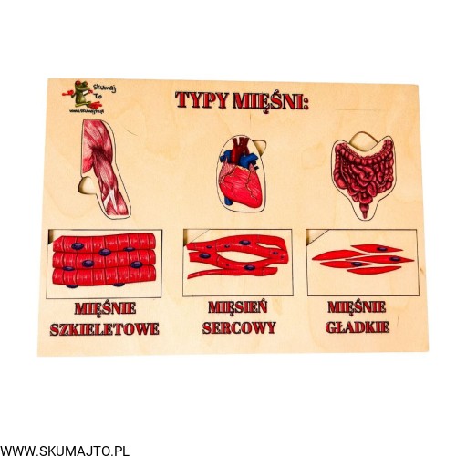 Projekt bez nazwy - 2023-09-11T145020.108.jpg