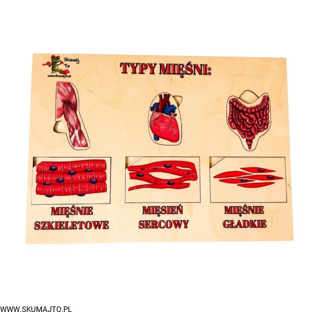 Projekt bez nazwy - 2023-09-11T145020.108.jpg