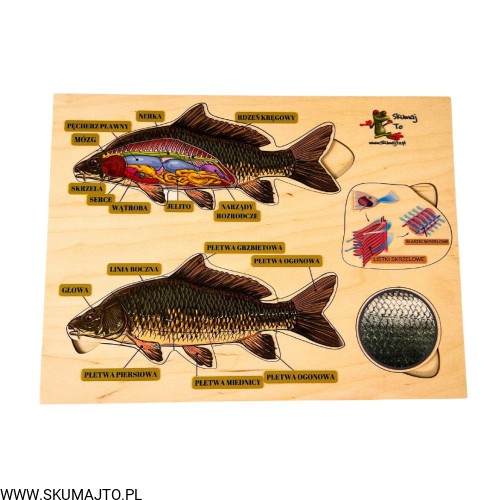 Projekt bez nazwy - 2023-09-11T145358.651.jpg