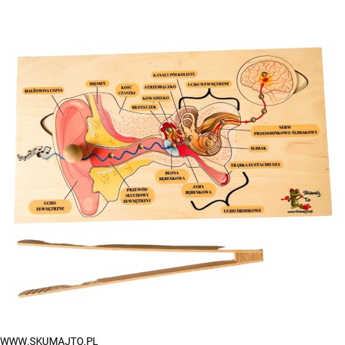 Projekt bez nazwy - 2023-09-11T145303.776.jpg