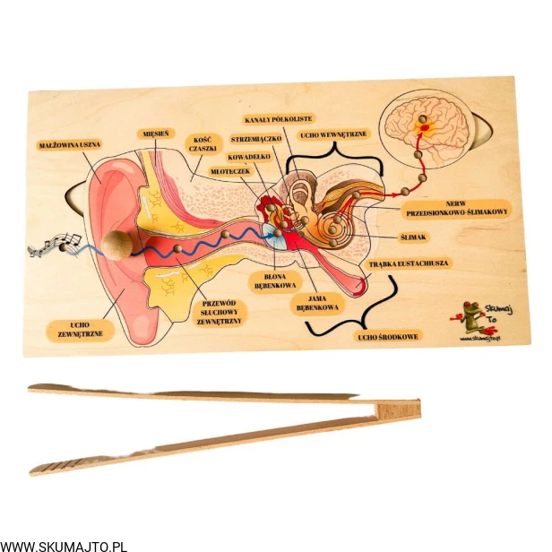 Projekt bez nazwy - 2023-09-11T145303.776.jpg