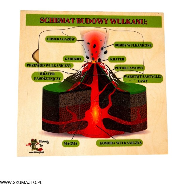 Projekt bez nazwy - 2023-09-11T145113.881.jpg