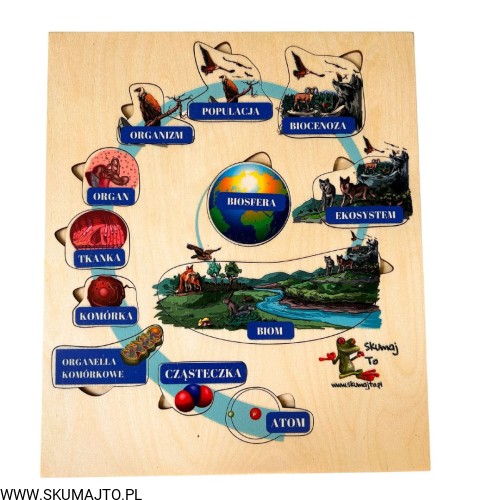 Projekt bez nazwy - 2023-09-11T145758.113.jpg