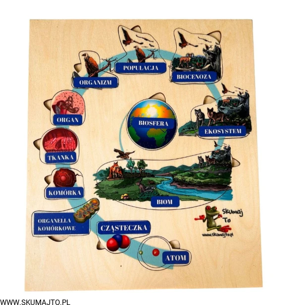 Projekt bez nazwy - 2023-09-11T145758.113.jpg