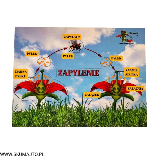 Projekt bez nazwy - 2023-09-11T145206.980.jpg