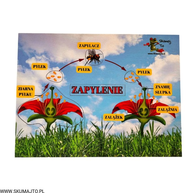 Projekt bez nazwy - 2023-09-11T145206.980.jpg