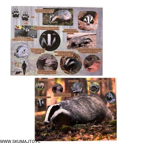 Projekt bez nazwy - 2023-09-11T144637.093.jpg