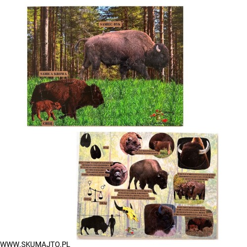 Projekt bez nazwy - 2023-09-11T144537.972.jpg