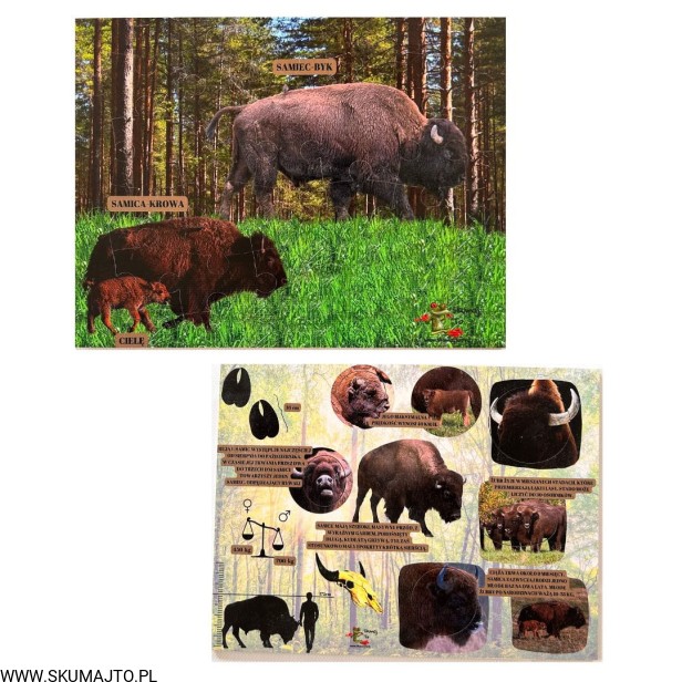 Projekt bez nazwy - 2023-09-11T144537.972.jpg