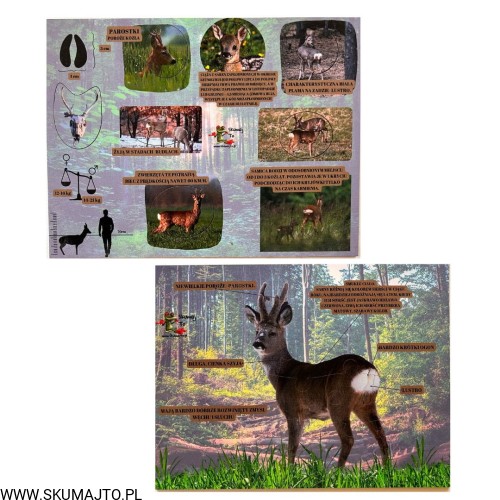 Projekt bez nazwy - 2023-09-11T144435.853.jpg