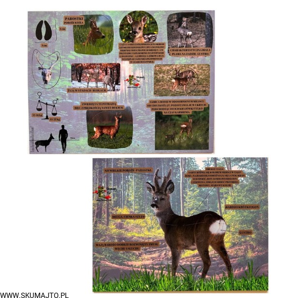 Projekt bez nazwy - 2023-09-11T144435.853.jpg