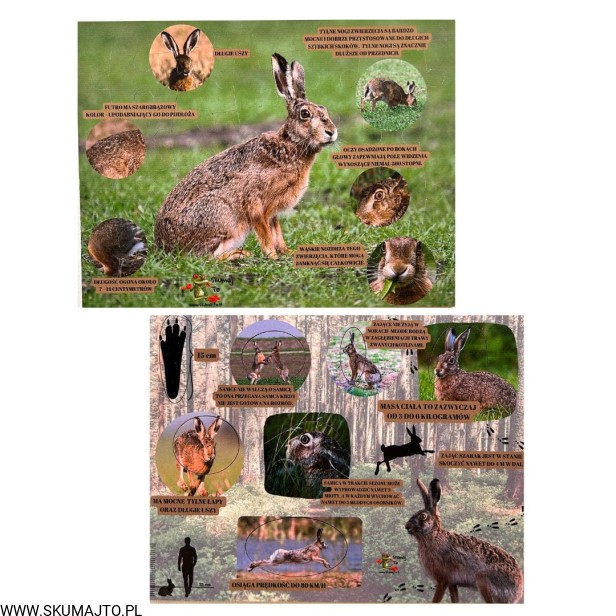 Projekt bez nazwy - 2023-09-11T144344.860.jpg