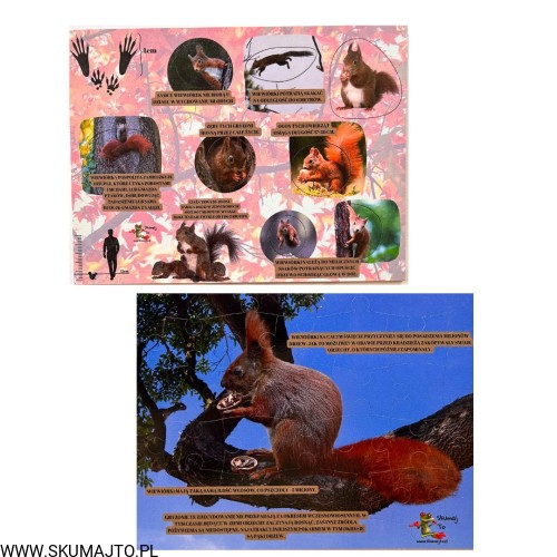 Projekt bez nazwy - 2023-09-11T144242.533.jpg