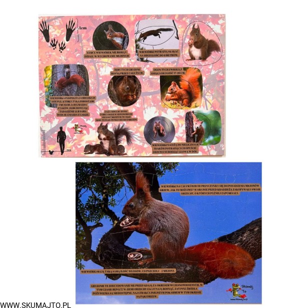 Projekt bez nazwy - 2023-09-11T144242.533.jpg