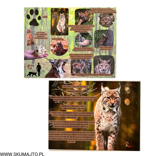 Projekt bez nazwy - 2023-09-11T144139.144.jpg