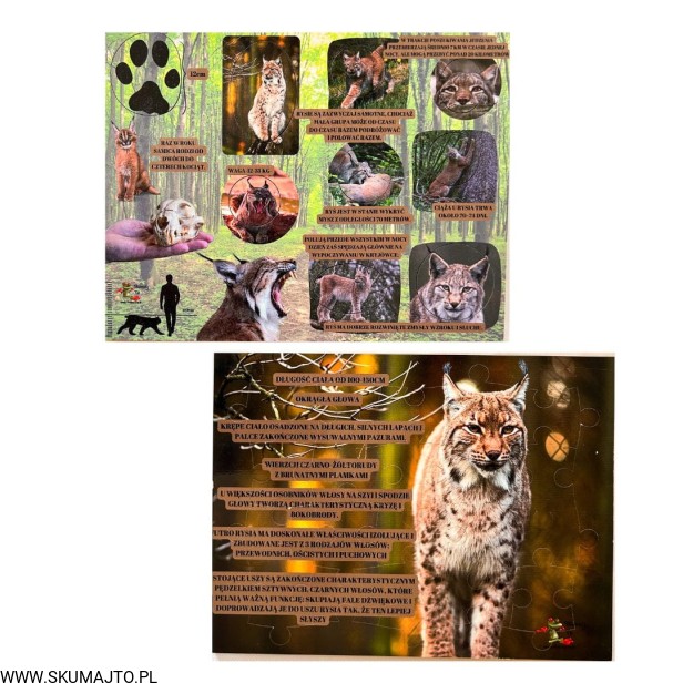 Projekt bez nazwy - 2023-09-11T144139.144.jpg