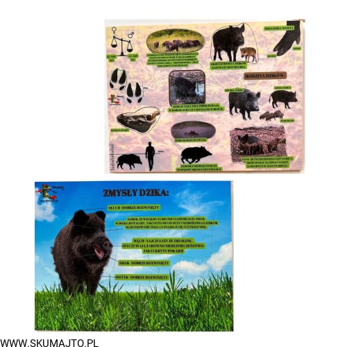 Projekt bez nazwy - 2023-09-11T144044.528.jpg