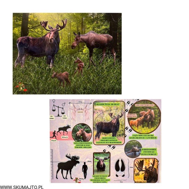 Projekt bez nazwy - 2023-09-11T143926.398.jpg