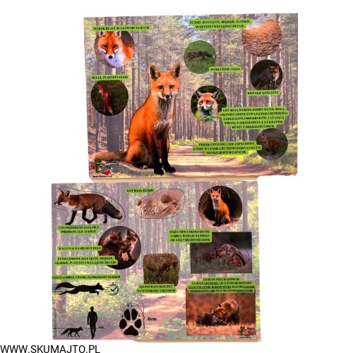 Projekt bez nazwy - 2023-09-11T143651.611.jpg