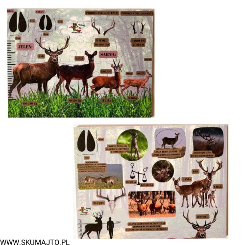 Projekt bez nazwy - 2023-09-13T123036.429.jpg