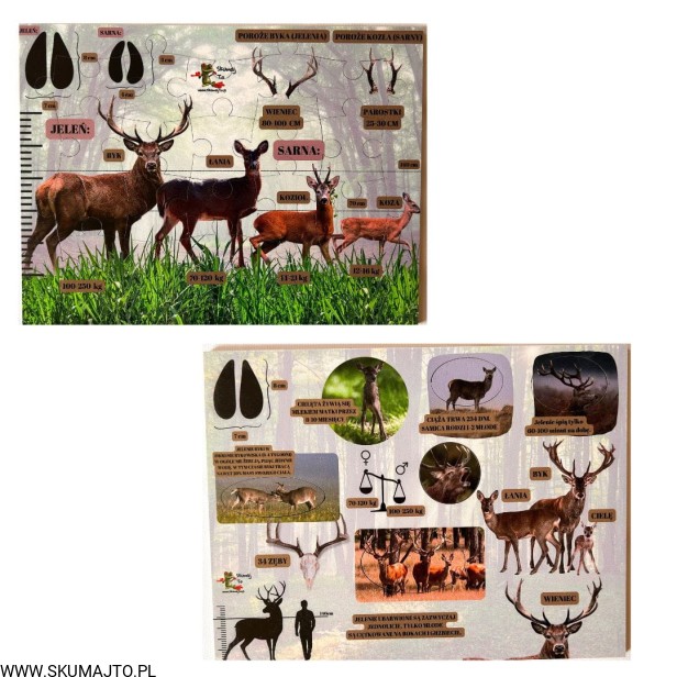 Projekt bez nazwy - 2023-09-13T123036.429.jpg