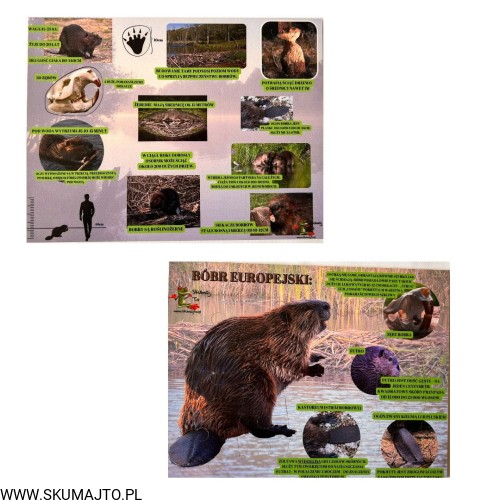 Projekt bez nazwy - 2023-09-13T122939.211.jpg