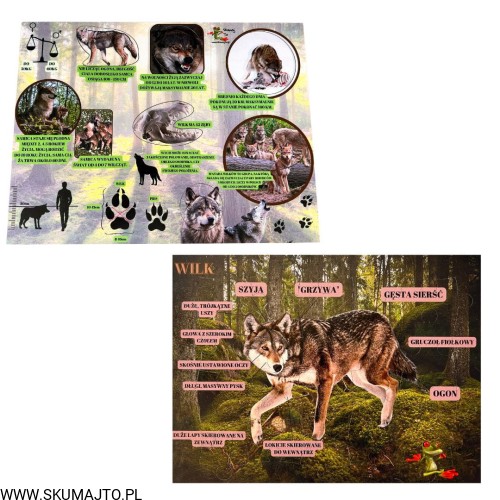 Projekt bez nazwy - 2023-09-13T181824.938.jpg