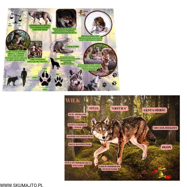 Projekt bez nazwy - 2023-09-13T181824.938.jpg