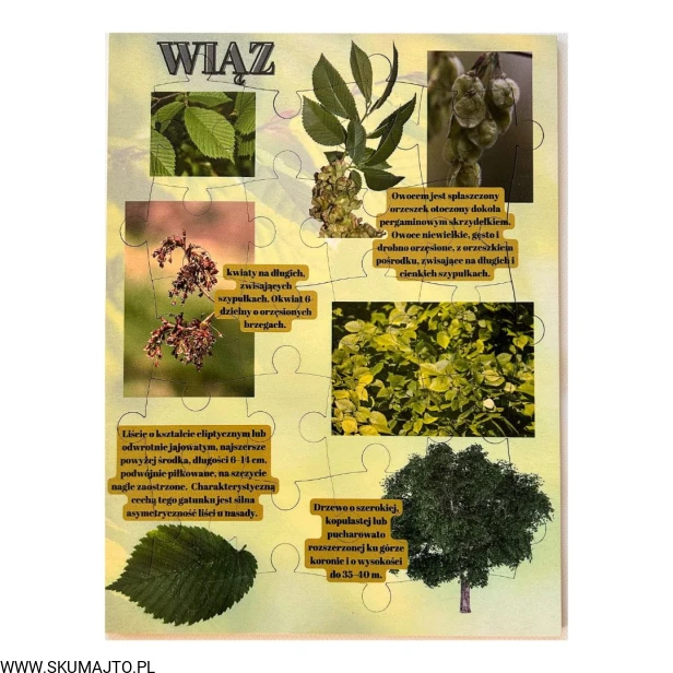 Projekt bez nazwy - 2023-09-16T170010.697.jpg