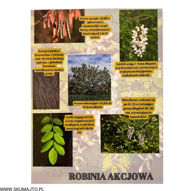 Projekt bez nazwy - 2023-09-16T165940.978.jpg