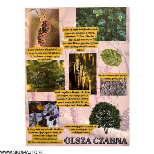 Projekt bez nazwy - 2023-09-16T165914.328.jpg