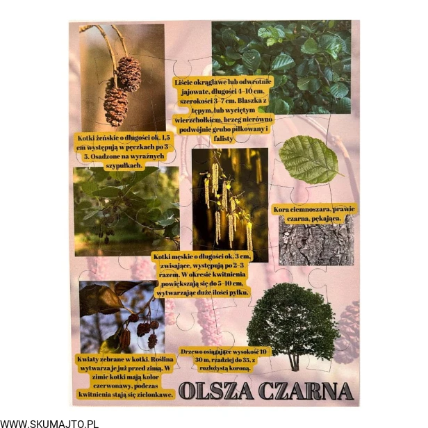 Projekt bez nazwy - 2023-09-16T165914.328.jpg