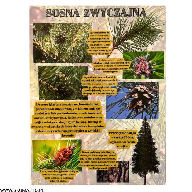 Projekt bez nazwy - 2023-09-16T165827.761.jpg