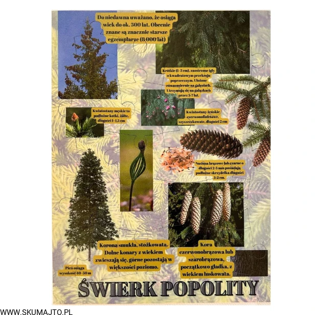 Projekt bez nazwy - 2023-09-16T165737.173.jpg