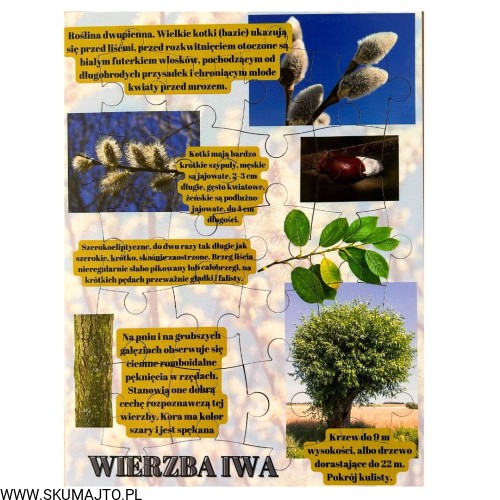 Projekt bez nazwy - 2023-09-16T173926.475.jpg