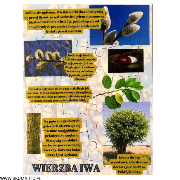 Projekt bez nazwy - 2023-09-16T173926.475.jpg