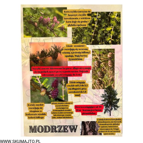 Projekt bez nazwy - 2023-09-16T165701.353.jpg