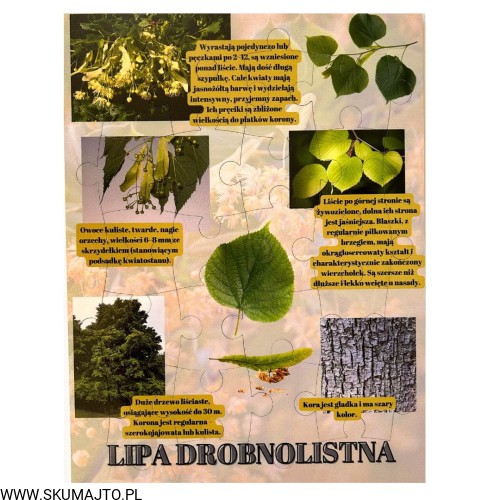 Projekt bez nazwy - 2023-09-16T165610.124.jpg