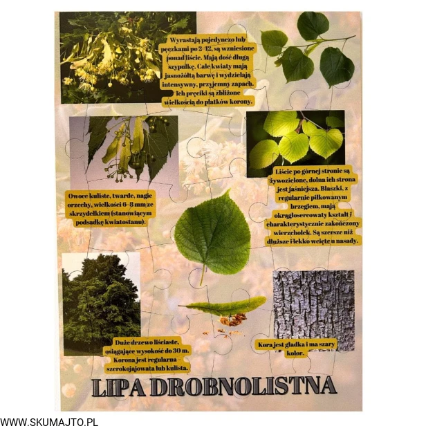 Projekt bez nazwy - 2023-09-16T165610.124.jpg